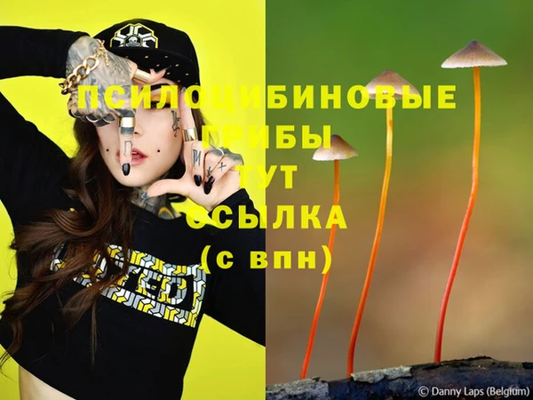 герыч Липки