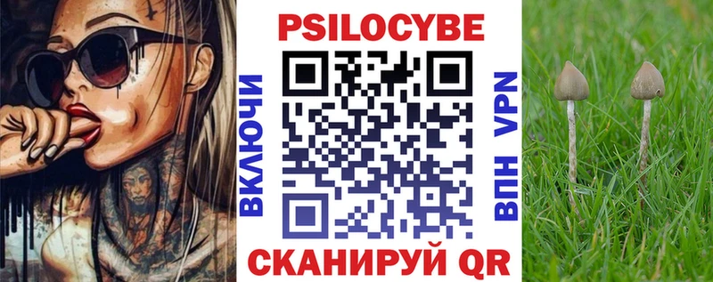 Галлюциногенные грибы мицелий  купить  цена  KRAKEN онион  Заволжск 