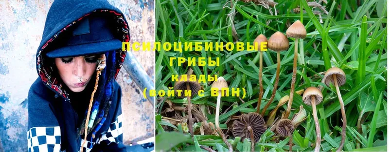 Галлюциногенные грибы MAGIC MUSHROOMS  Заволжск 